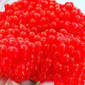 TAAR Salmon Egg Bait Products